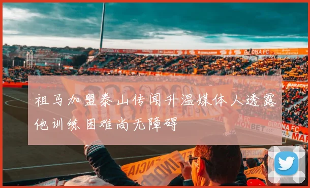 祖马加盟泰山传闻升温媒体人透露他训练困难尚无障碍