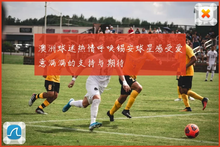 澳洲球迷热情呼唤锡安球星感受爱意满满的支持与期待